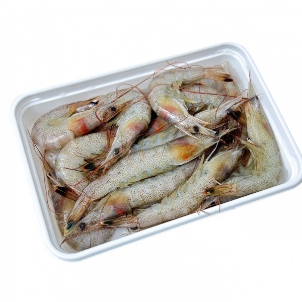 【店頭販売限定品】ケイムラ海えび